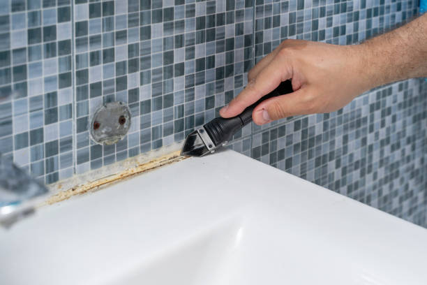 Best Mold Remediation  in Tangent, OR